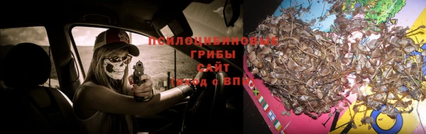 ГАЛЛЮЦИНОГЕННЫЕ ГРИБЫ Балахна