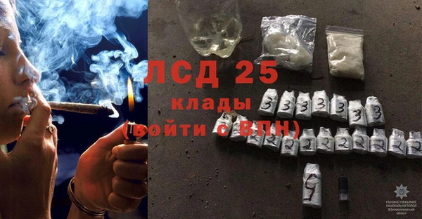 ГАЛЛЮЦИНОГЕННЫЕ ГРИБЫ Балахна