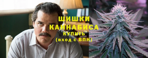 ГАЛЛЮЦИНОГЕННЫЕ ГРИБЫ Балахна