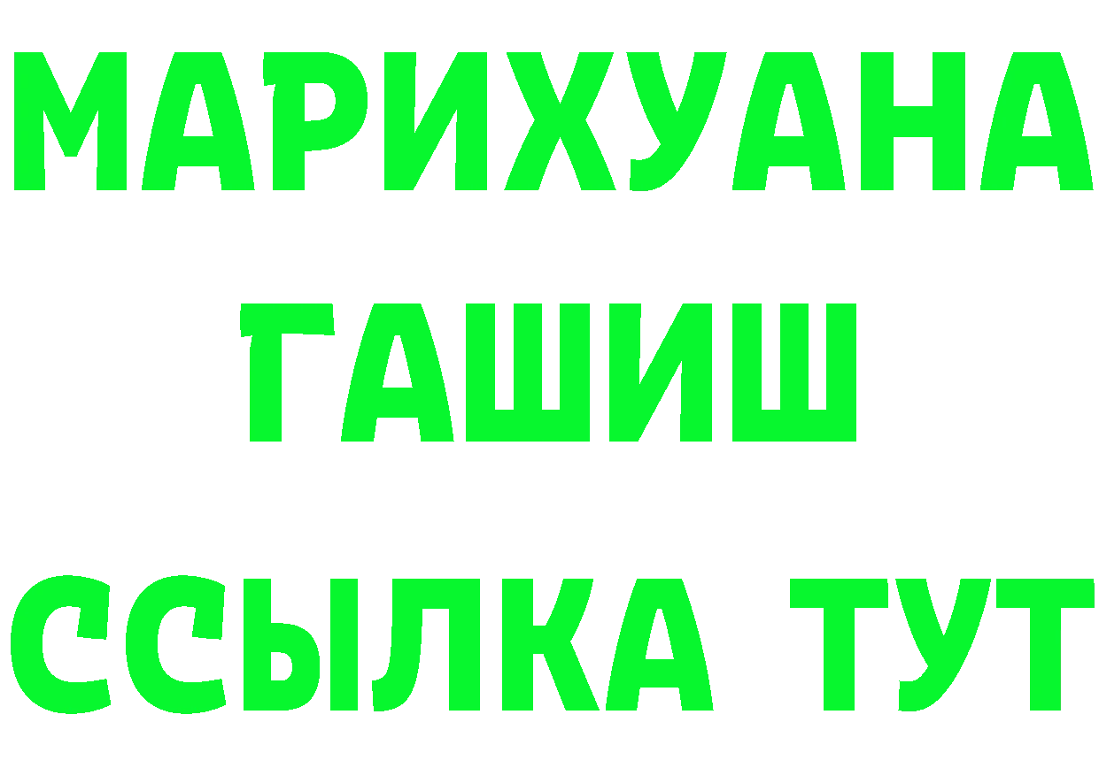 Псилоцибиновые грибы Psilocybe tor это MEGA Гай