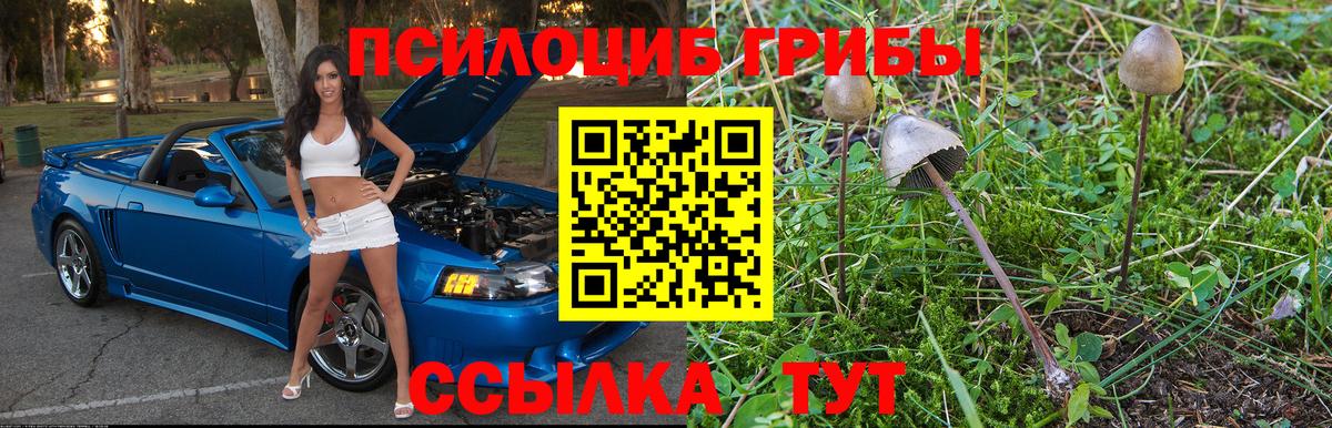 Псилоцибиновые грибы мухоморы Гай