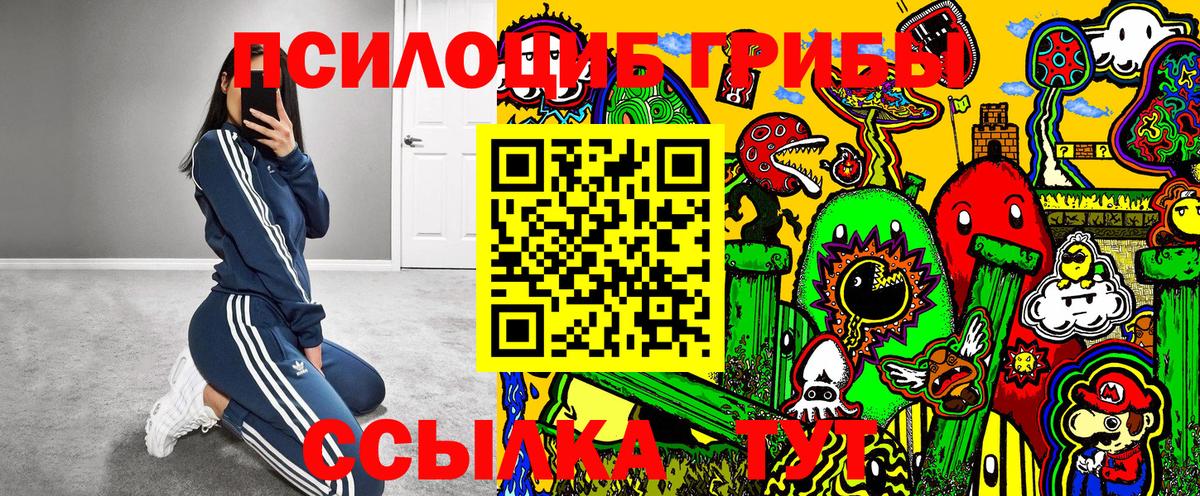 Галлюциногенные грибы Cubensis Гай