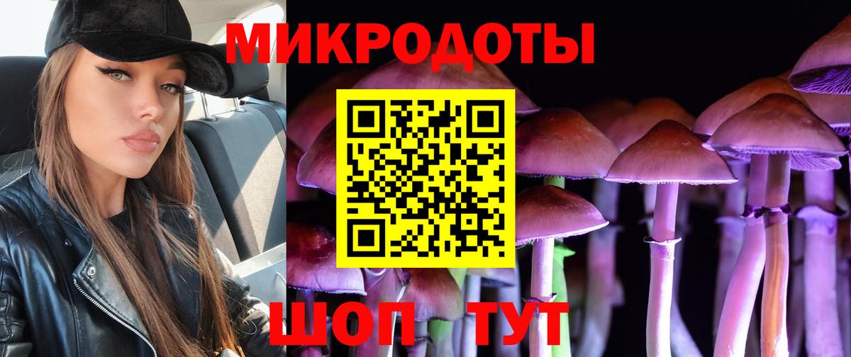 Галлюциногенные грибы Cubensis  Гай 