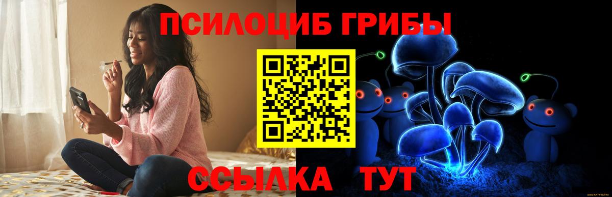 Псилоцибиновые грибы Psilocybe  Вход с VPN  Гай  Галлюциногенные грибы ЛСД 